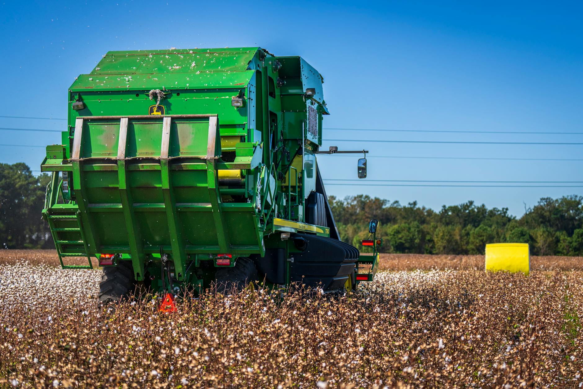El USDA lanza un rescate de 16 millones de dólares para el algodón ante el desplome de las exportaciones por la guerra comercial