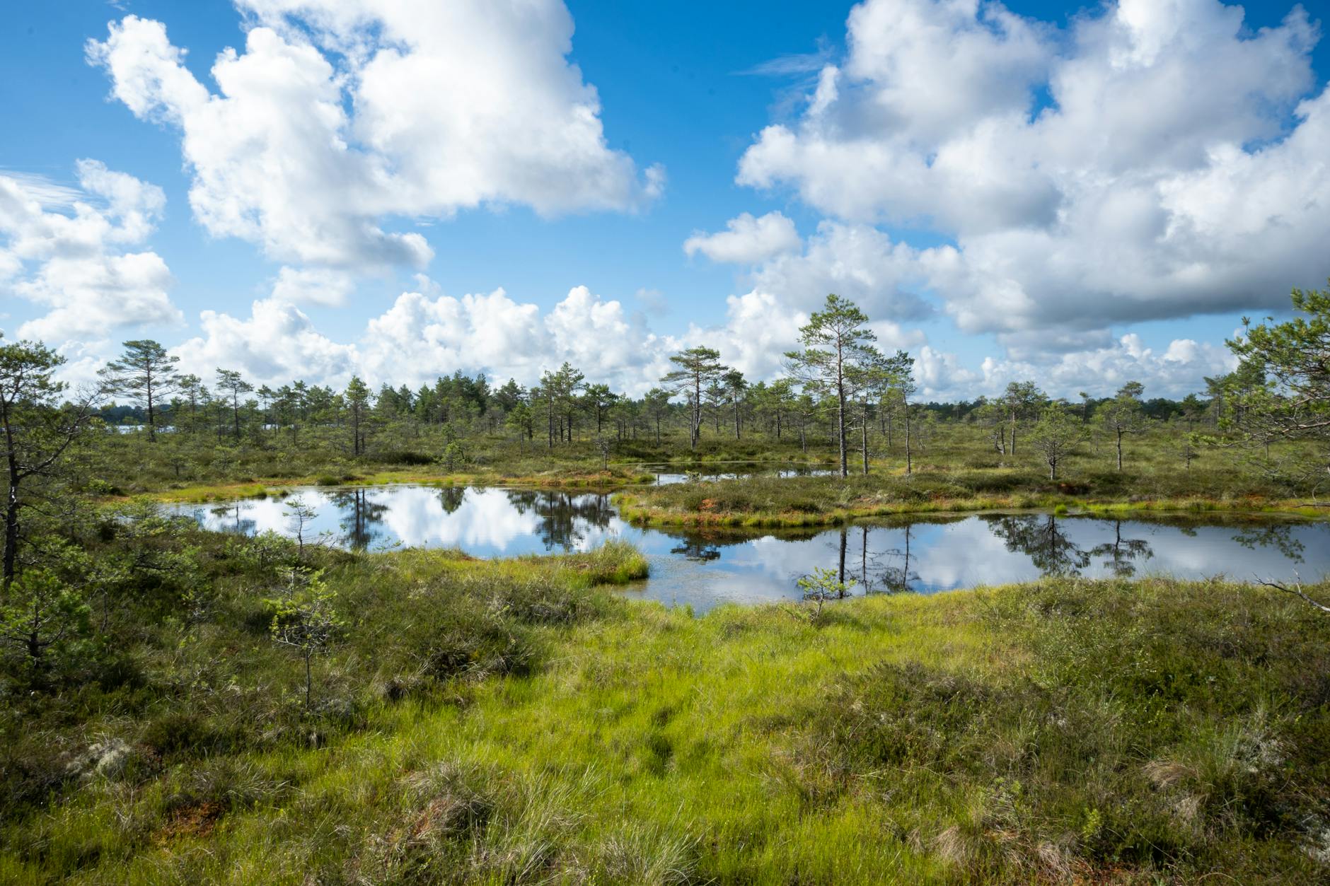 A Burning Crisis: Tropical Peatland Fires Reach 2,000-Year High