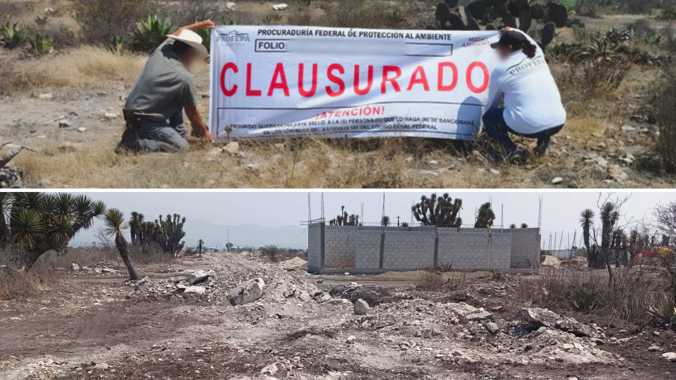 墨西哥联邦当局叫停普埃布拉保护区违规开发项目