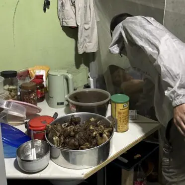 Brasil incluye a BYD en su lista negra por las condiciones laborales en su planta