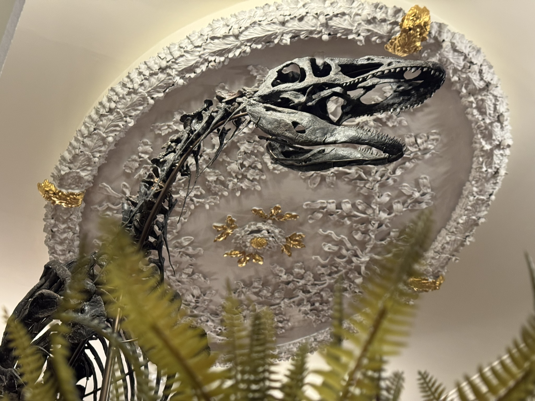 Rare 20-foot dinosaur skeleton unveiled in Colchester