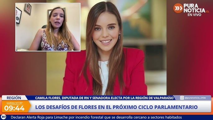 Fiscalía investiga a la senadora Camila Flores por presunto fraude al fisco