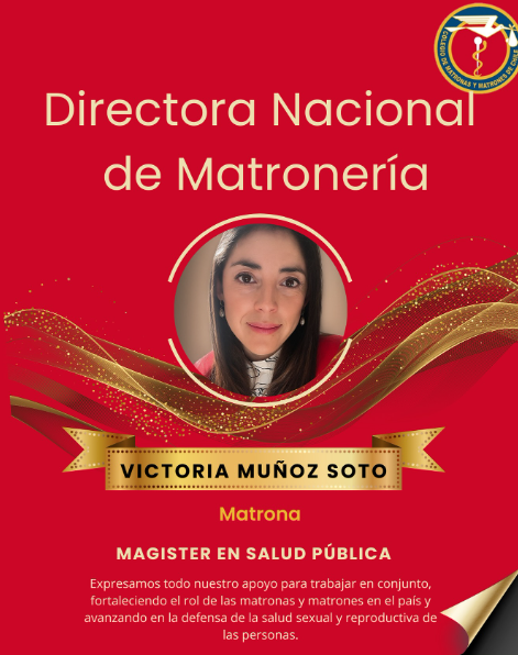 智利公共医疗排队时间激增，助产士成为医疗防线核心