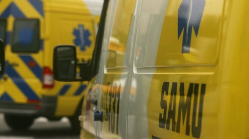 Man struck and killed while herding livestock on road to Lago Chapo