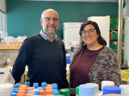 Un hombre noruego logra la remisión prolongada del VIH tras un trasplante de células madre de su hermano