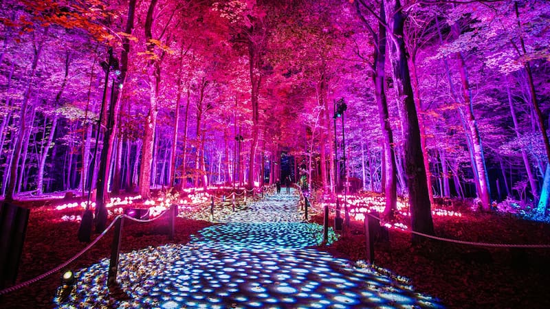 Harry Potter Immersive Experience Coming to Santiago's Quinta Normal Park