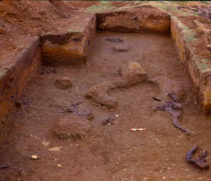 Scientific Dispute Emerges Over the True Age of Chile’s Monte Verde Archaeological Site