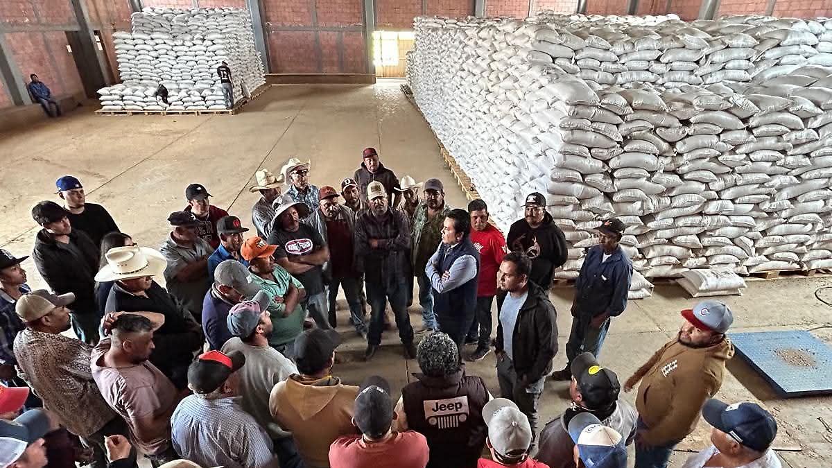 萨卡特卡斯州豆农抗议联邦采购计划中的腐败指控