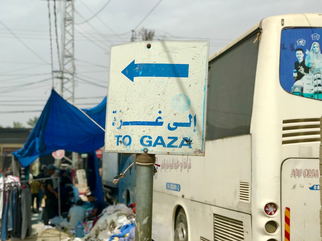 Congenital anomalies and stillbirths surge in Gaza as war-related conditions worsen